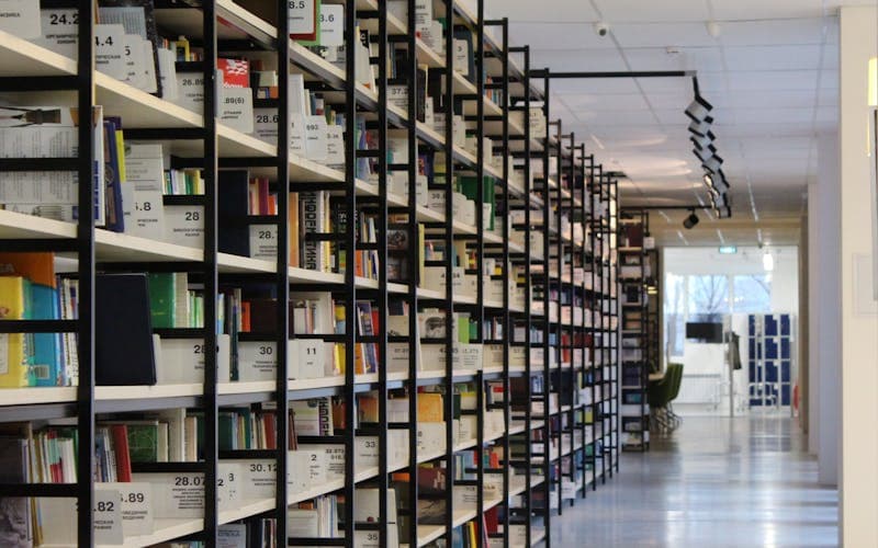 Starfall Colony: Ambitious but Unfinished at Launch