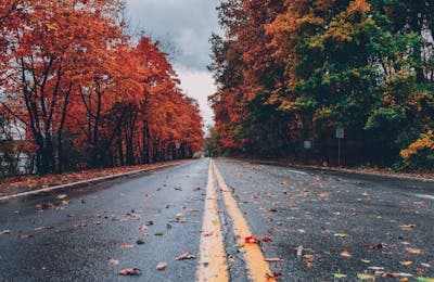 CD Projekt Red Raises $500M to Fund Cyberpunk 2 and The Witcher IV Development